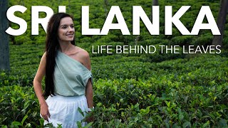 Travel vlog - How Spices & Tea Shaped Sri Lanka โ And the People Who Grow Them | Nuwara Eliya