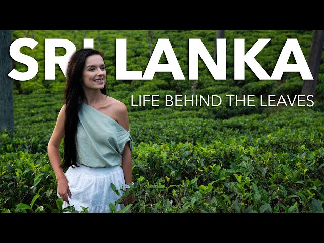 Travel vlog - How Spices & Tea Shaped Sri Lanka — And the People Who Grow Them | Nuwara Eliya