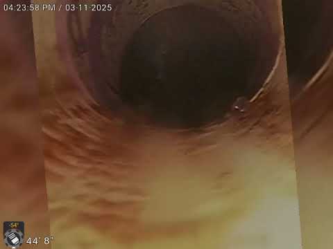 6408 coralcreek ct 2025 03 11 16 22 52