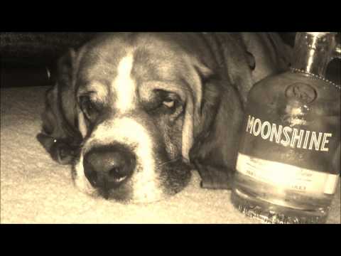 houndog and denatured Moonshine/ethanol into fuel