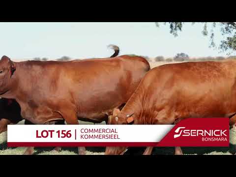 LOT 156 | COMMERCIAL