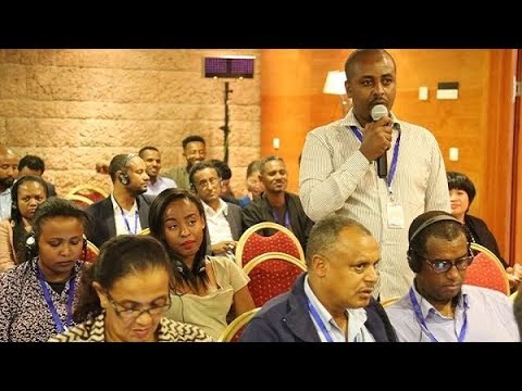 Engaging the Ethiopian Diaspora in nation building (Forum: Part 1)