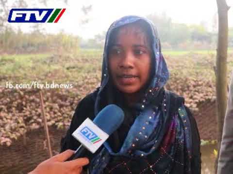 সুবর্ণচরে সার্জন পদ্ধতিতে সবজি ও মাছ চাষ পদ্ধতি অধিক জনপ্রিয়: