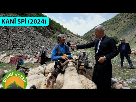 DENGÊ BOTAN -  KANÎ SPÎ (2024)