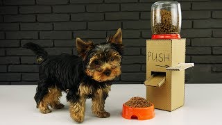 DIY Puppy Dog Food Dispenser from Cardboard at Home
