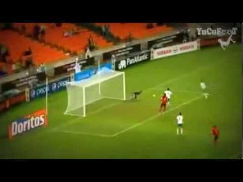 The best goalkeeper in the world  Nadir Lamyaghri