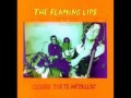 Flaming Lips - Christmas at the Zoo