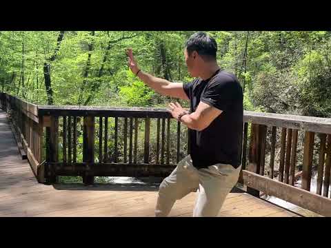 Xingyi 5 Elements form