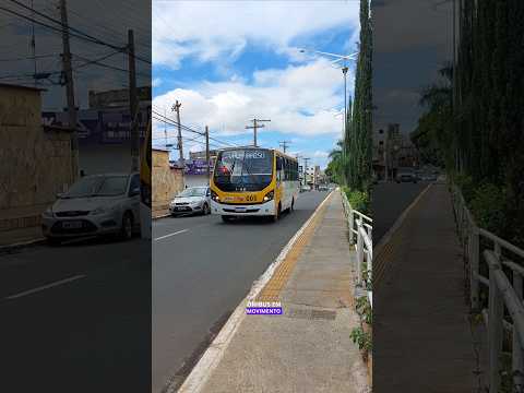 AMD Solum - Volkswagen 9.160 OD Euro 5 🚌🚌 #shorts #shortsviral