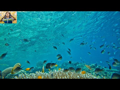 Meditation at the bottom of the Ocean - Depth and Softness of the Sea