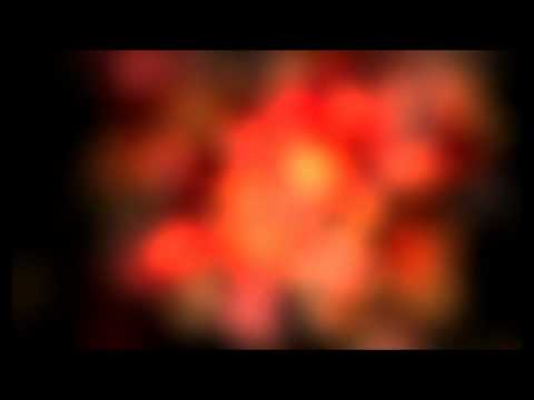 Delerium feat. Kristy Thirsk Flowers become Screens Acoustic