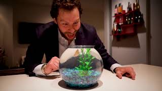 Turbo39s Birthday Celebration  Celebrate Life