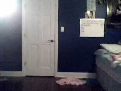 crazy day w/ky mollie jess kat