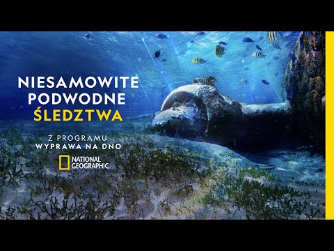 Ryzykują życie, by odnaleźć niezwykłe wraki. Zobacz najciekawsze podwodne śledztwa | Wyprawa na dno