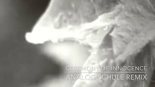 Moby - Ceremony of Innocence (Analog Schule Remix)
