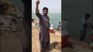 preview picture of video 'Fish catching in winder balochistan'
