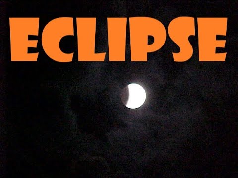 PESCA CAMPING MASCOTAS Y ECLIPSE GENERAL BEGRANO 08/11/2003