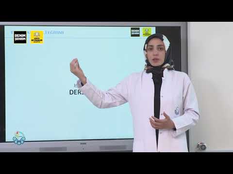 Türk İşaret Dili Eğitimi I Ders 4