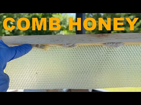 BEEKEEPING: How to Make a Few Frames of Comb Honey