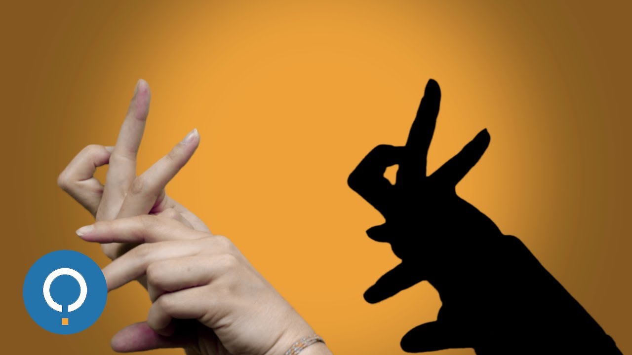 Watch Now Como fazer SOMBRAS DE ANIMAIS com as mãos para crianças Como fazer SOMBRAS DE ANIMAIS com as mãos para crianças