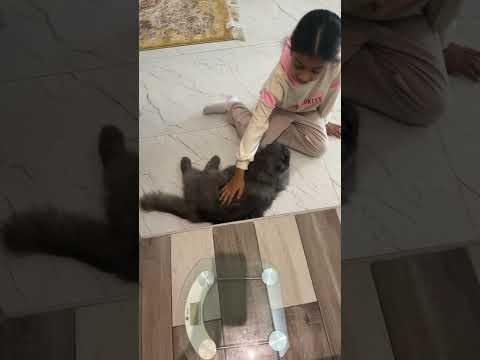 Shareena with her #cats