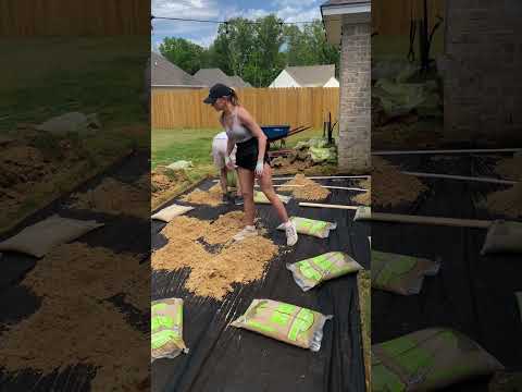 DIY Paver Patio Build
