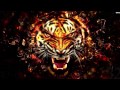 Survivor - Eye Of The Tiger (Instrumental Karaoke ...