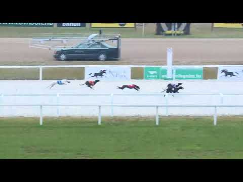 2017.11.25. 2. futam - Agár futam