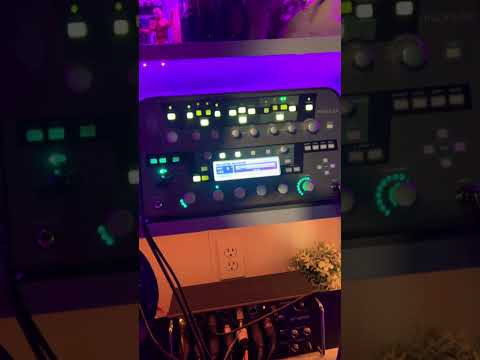 Jackie Venson guitar rig rundown