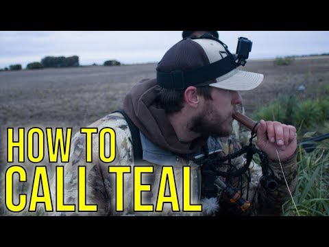 How To Call Teal