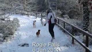 preview picture of video 'Rogie Falls with Guy, Amy and the dogs'