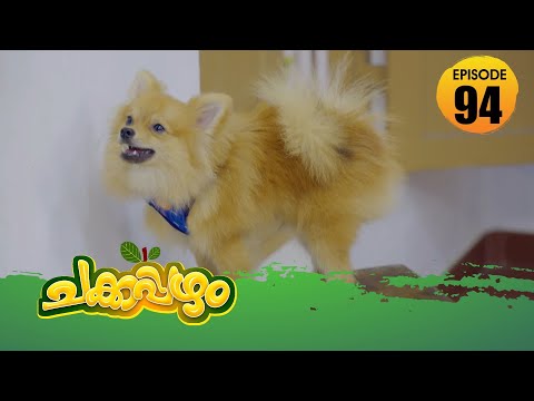 Chakkappazham 2│Comedy Series│EP# 94