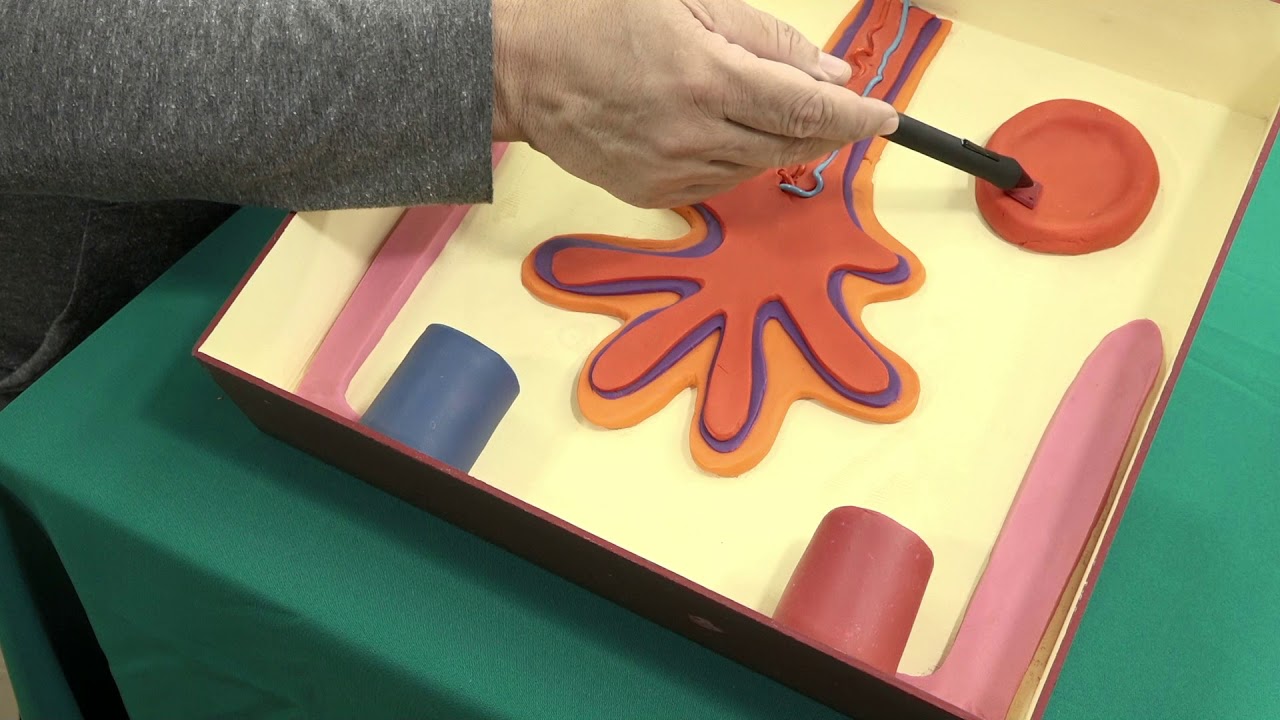 Circulação útero-placentária: caminhos entre o bebê e a mãe