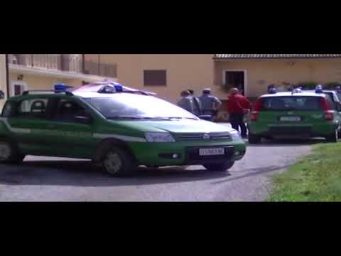 01a SI APRE IL PROCESSO PER IL 64 ENNE CHE UCCISE L’ORSO A PETTORANO