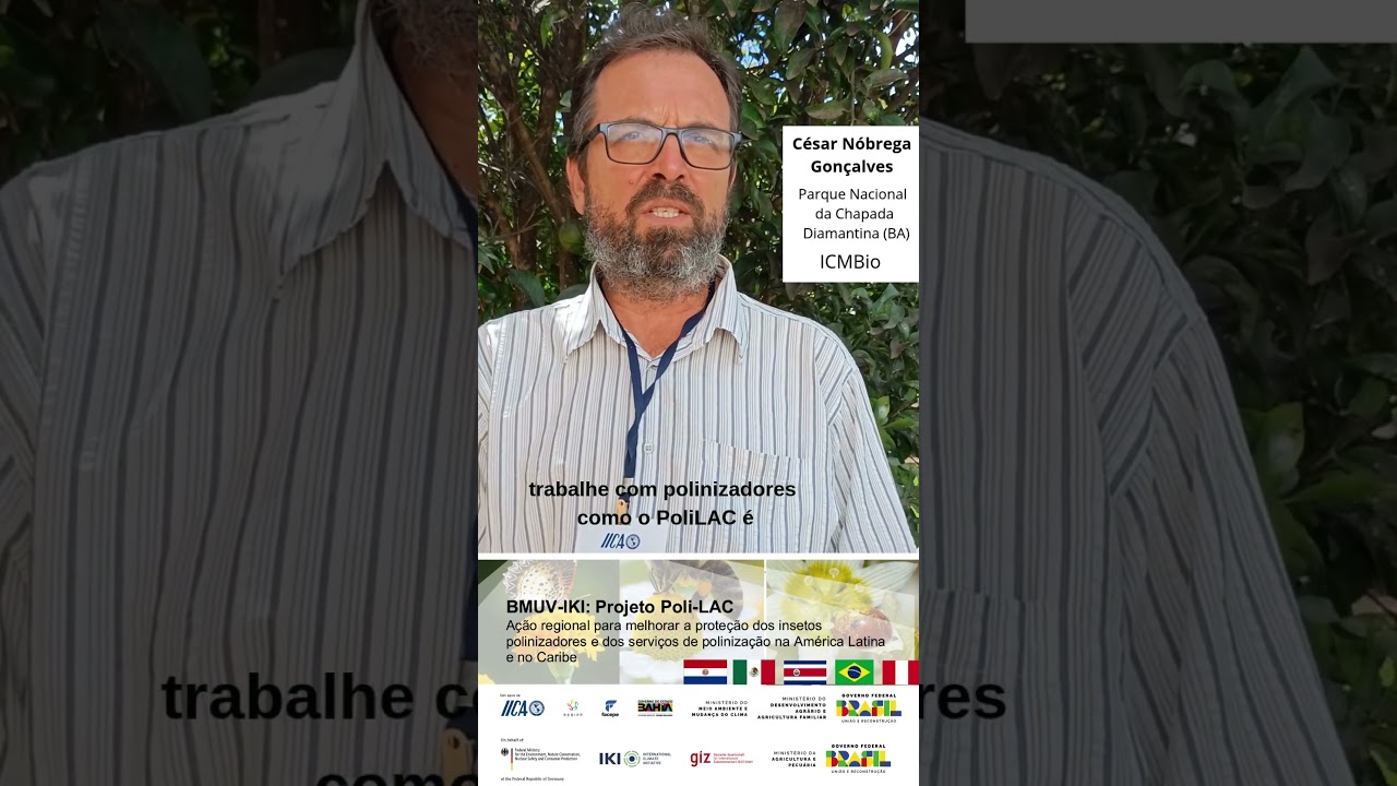 Projeto PoliLac - César  - IcmBIO