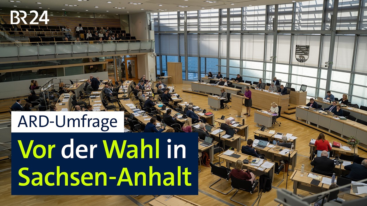 AfD baut Vorsprung in Umfrage weiter aus | BR24