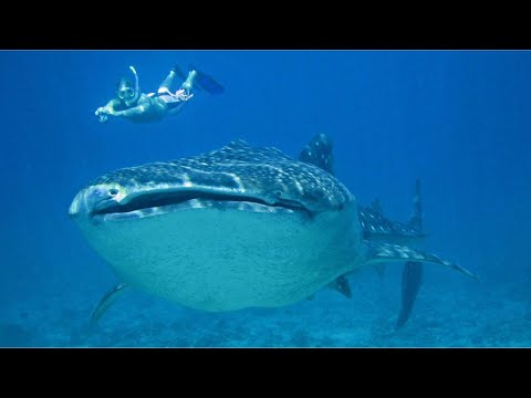 Une journée type au Mozambique | Volontariat Freepackers