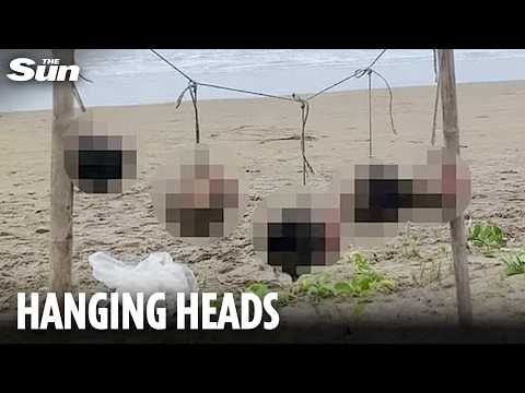 Horror as five heads discovered at beach in Ecuador revealing scale of cartel drug war