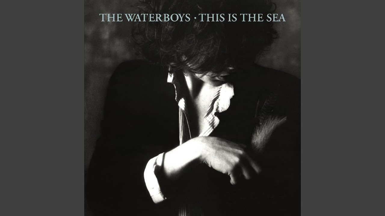 The Waterboys - Medicine Bow