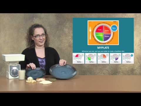 ライフサイクルを通じた栄養。マイプレート (Nutrition Through the Lifecycle: My Plate)