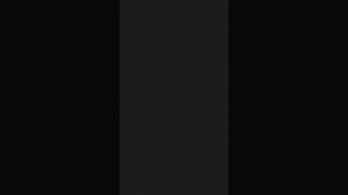 Album cover: Wall pallening 