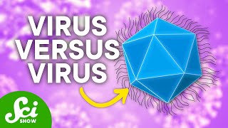 The Baffling Viruses That Infect... Other Viruses