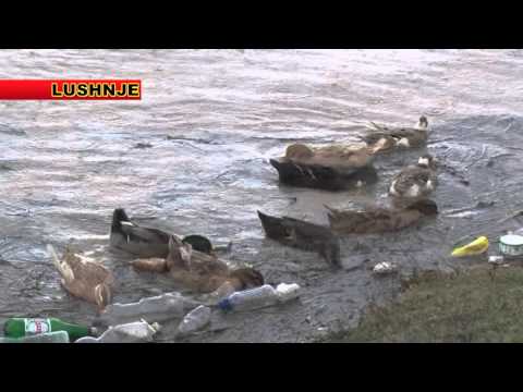 Fiks Fare Highlights, 07/01/2016 - Pjesa 1