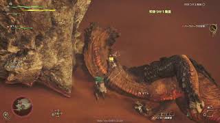モンハンワイルズキャラクリPS5