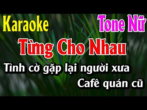 Từng Cho Nhau Karaoke Tone Nữ Karaoke Lâm Organ - Beat Mới