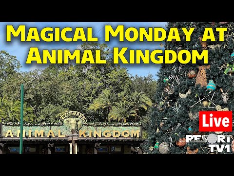 🔴Live: Magical Monday at Animal Kingdom - Rides, Shopping & More - Walt Disney World Live Stream