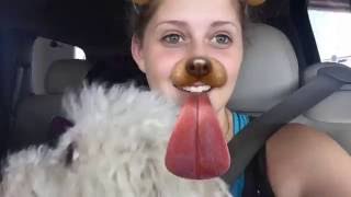 Kriser's Natural Pet Store