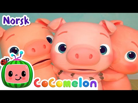 Tre små grise | Vuggesanger for Babyer | CoComelon Norsk
