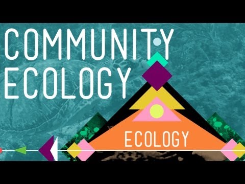 Community Ecology: Feel the Love - Crash Course Ecology #4