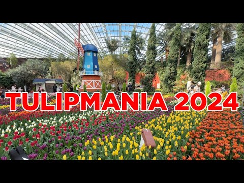 Tulipmania 2024 Gardens by the Bay || Walking Singapore